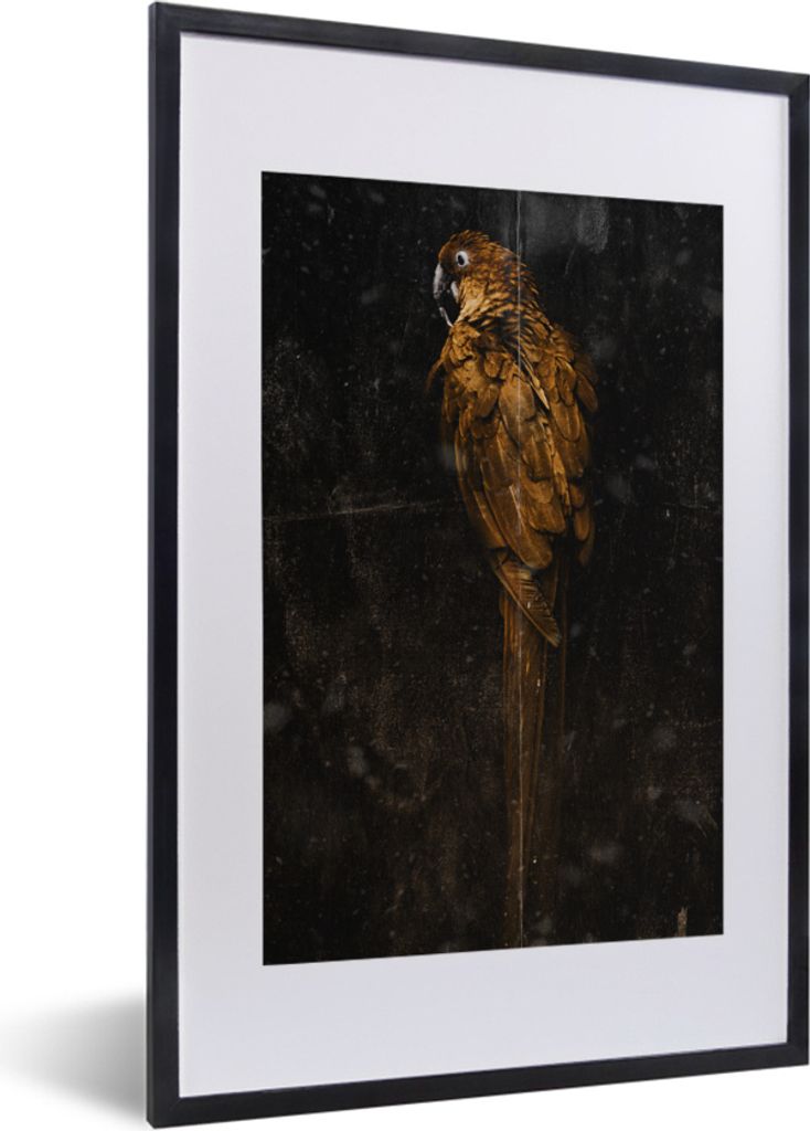 MuchoWow MuchoWow Gerahmtes Poster Papagei - Vogel - Foto 40x60 cm - Poster mit zchwarzem Bilderrahmen - Poster in Rahmen