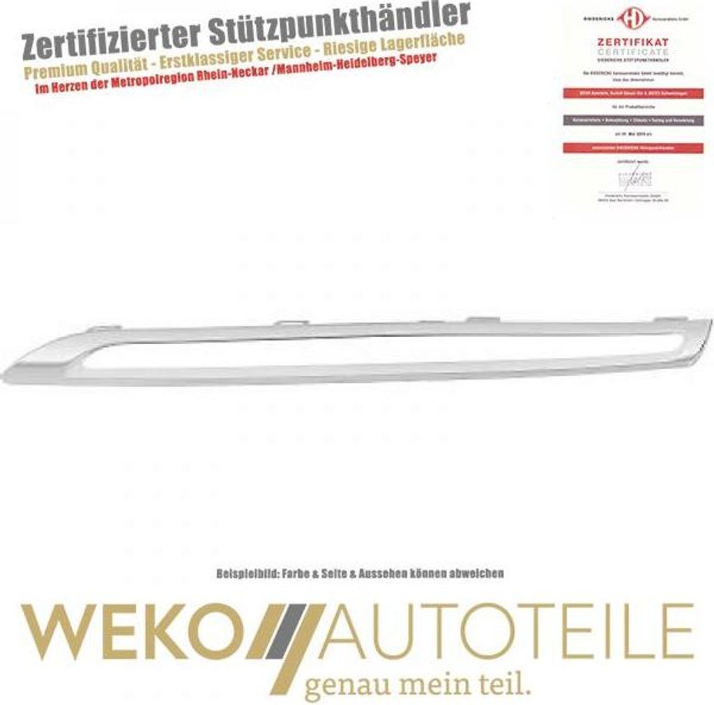 Blende Kühlergitter links unten DIEDERICHS 1692143 für MERCEDES-BENZ