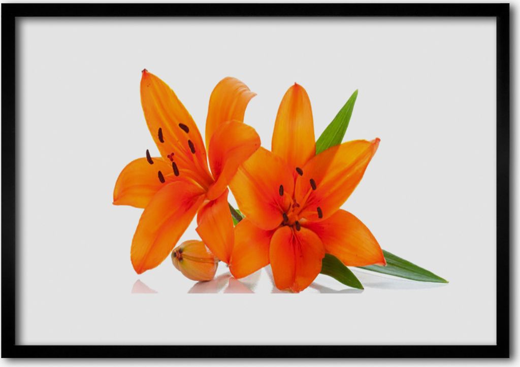 Bild 100x70 MDF-Rahmen Wandkunst Orange Pflanze Blumen Produktbild 