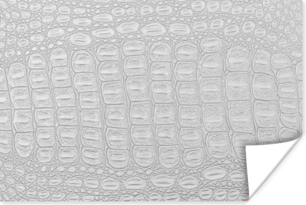 MuchoWow Poster Leder - Textur - Tierhaut 60x40 cm - Schlafzimmerdekoration