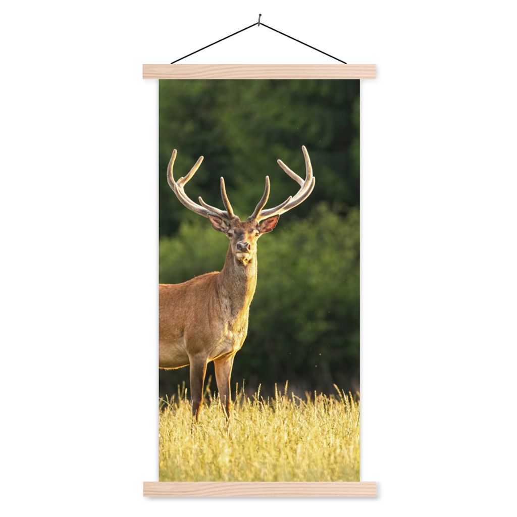MuchoWow Textilposter Hirsch - Geweih - Gras - Natur - Tiere - Grün 60x120 cm mit holzfarbenen Rahmen - Holz