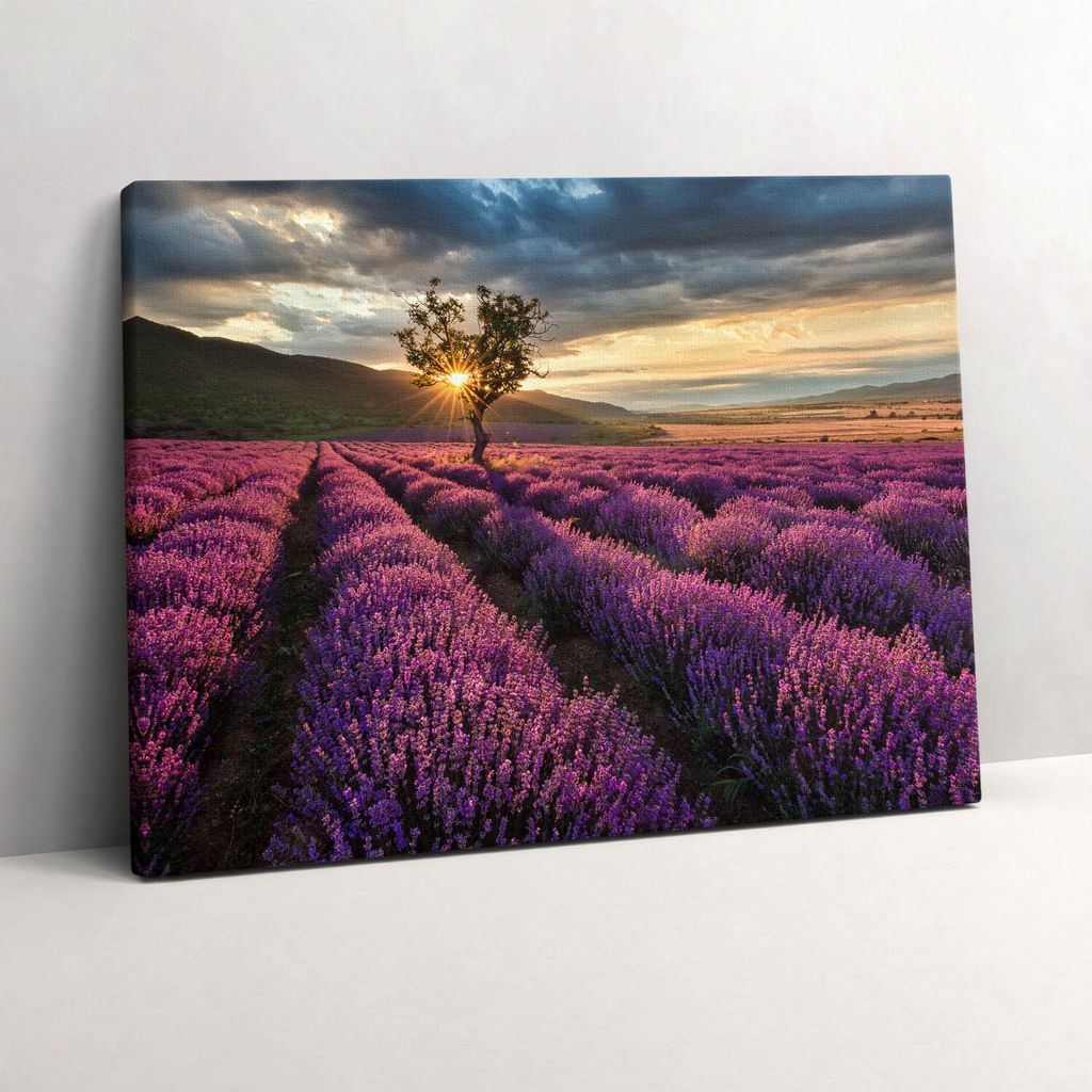 Landschaft mit Lavendelfeldern – Leinwandbild Wandbild – 80x60 cm – Leinwandbilder – Wandbilder – Schlafzimmer – Flur