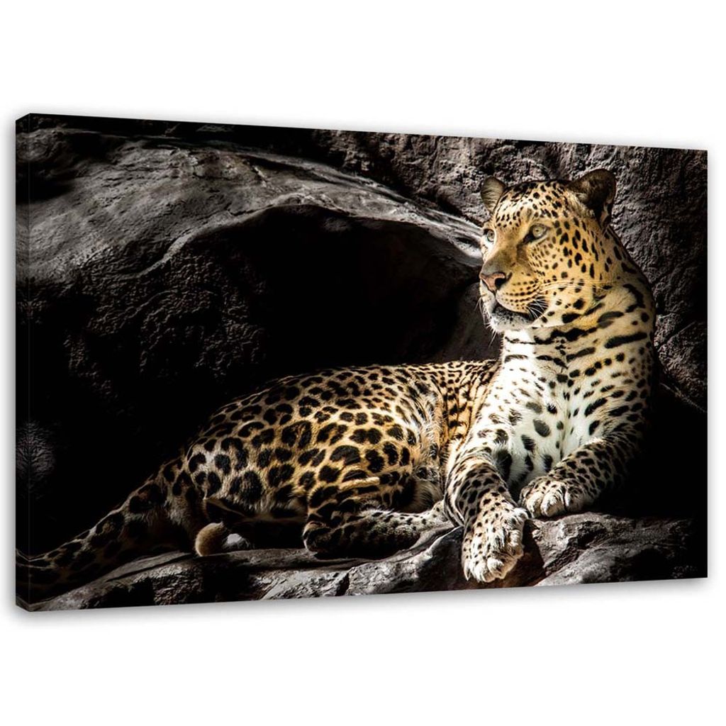 Kunstdruck Leinwand aus Vlies Deko Bild Bilder Wandbild XXL Wasserfall Leopard 