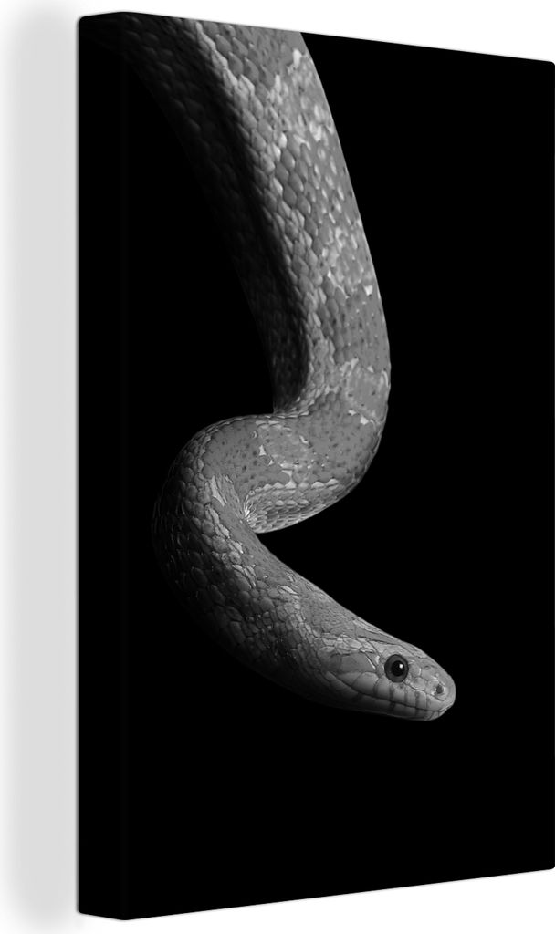 OneMillionCanvasses - Leinwandbilder - 90x140 cm, Tiere - Schlange - Schwarz - Weiß - Porträt, Wandbilder Kunstdruck Wanddekoration - Foto auf ...
