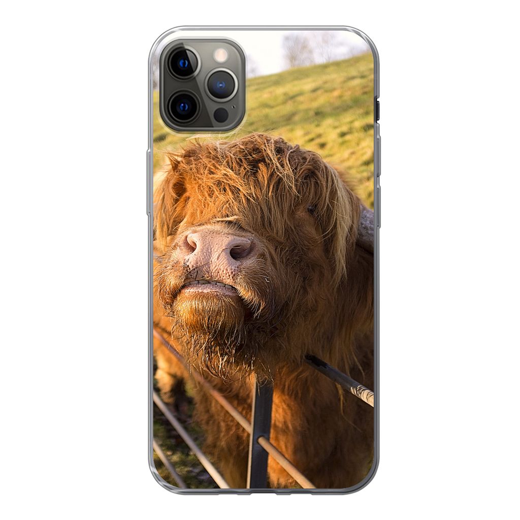 MuchoWow Handyhülle Schutzhülle Hülle für iPhone 12 Pro Max Scottish Highlander - Zaun - Gras Silikon Softcase Handy Hülle - Hartschale