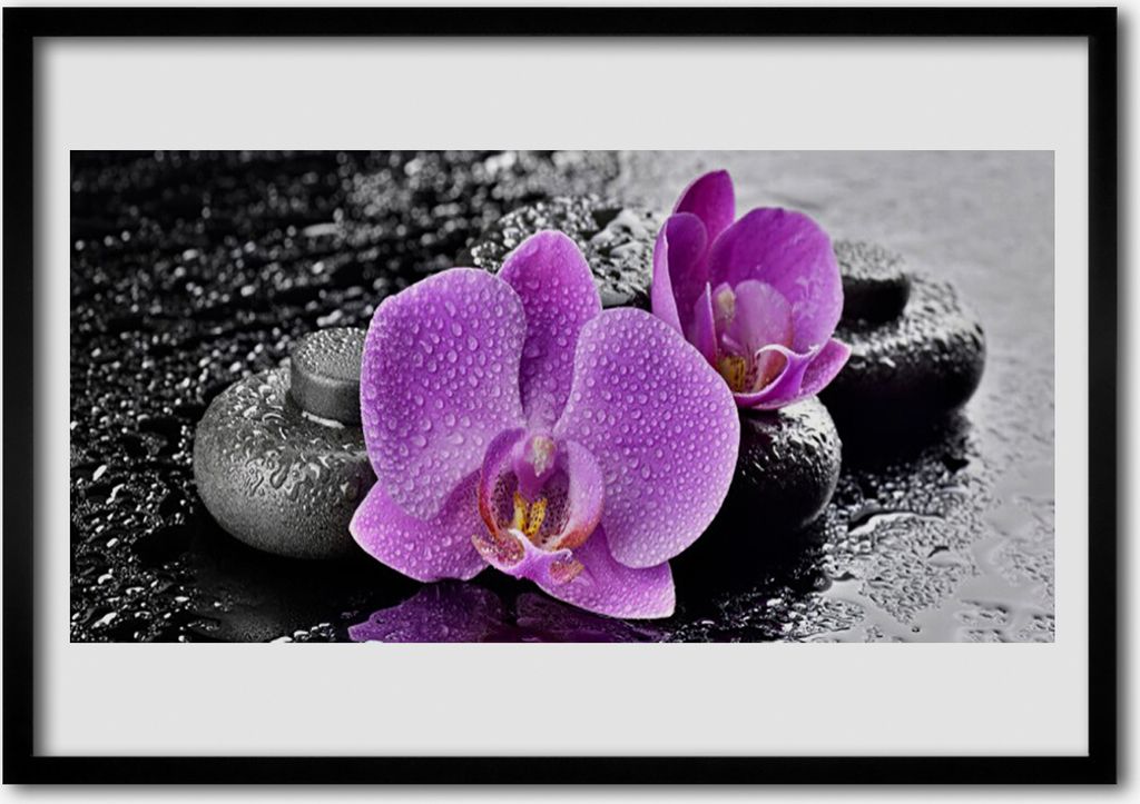 Bild 70x50 MDF-Rahmen Wandkunst Orchideen-Blumen Orchid Spa