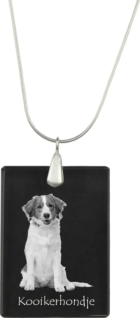 Collana Commemorativa Kooikerhondje - Gioiello con Foto Cane Art-Dog
