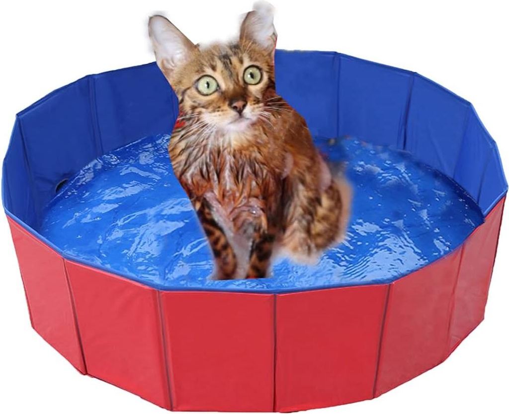 Faltbarer PVC-Pool für Hunde/Katzen, umweltfreundlich, rutschfest, mit Ablassventil, 80 x 20 cm