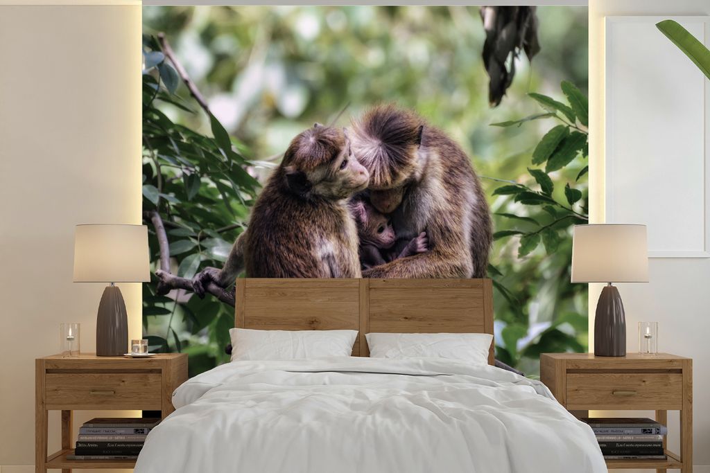 MuchoWow Fototapete für Wohnzimmer oder Schlafzimmer Wandtapete Vinyl Motivtapete Affen - Zweig - Blätter - 280x280 cm - Hintergrundbild