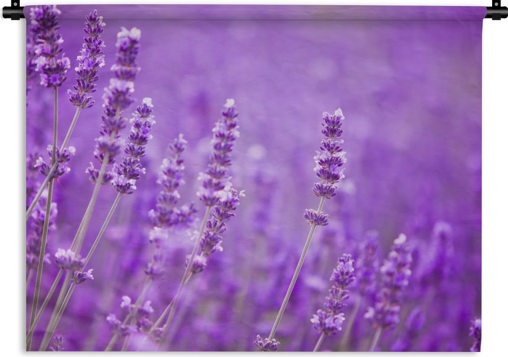 MuchoWow Wandteppich Wandbehang Lavendel - Nahaufnahme - Blumen - Lila 120x90 cm Tapisserie Dekoration Wandtuch - Wohnen - Aufhänger für die Wand