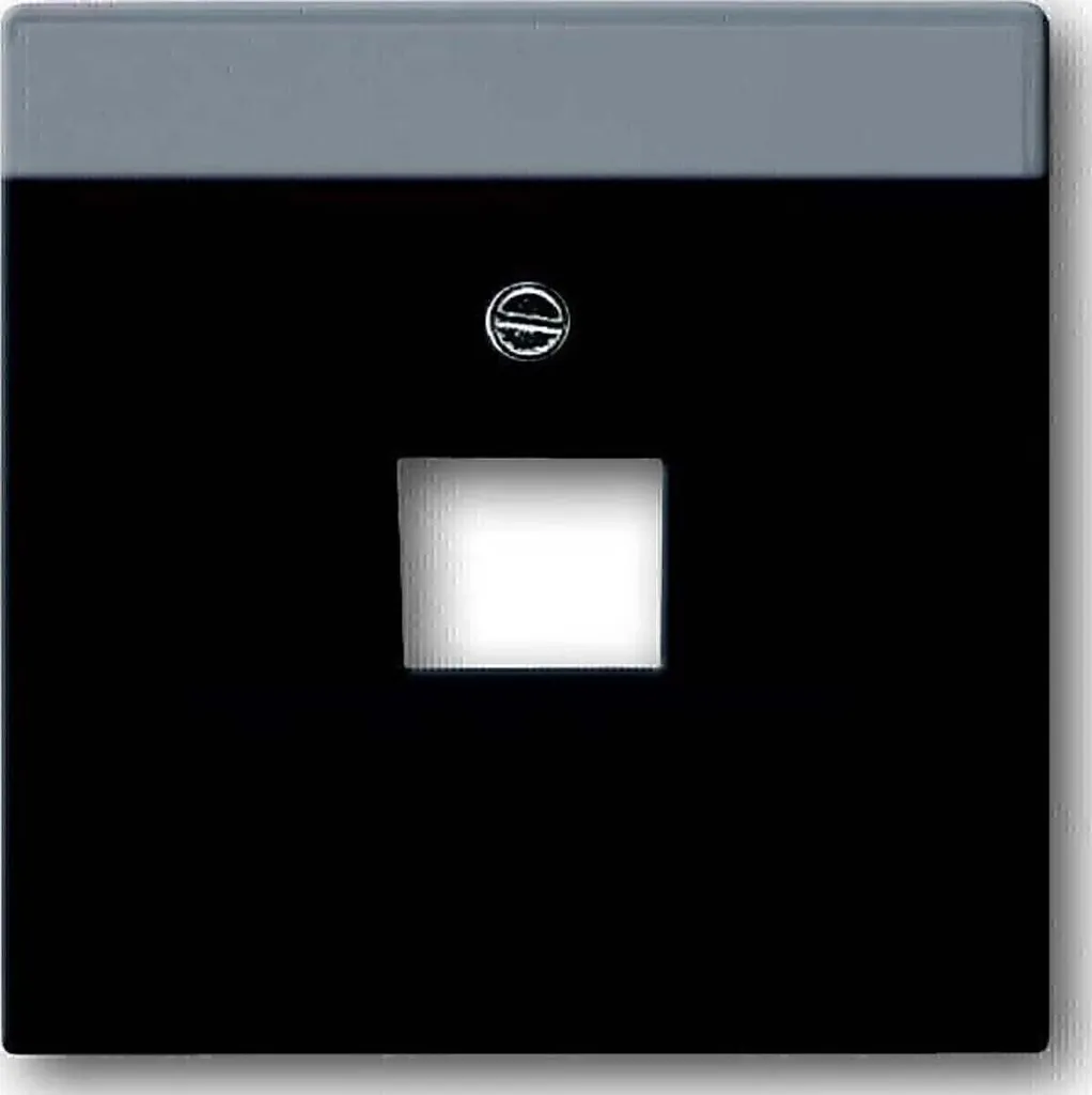 Piastra Centrale Busch-Jaeger Antracite 1803-81 - Qualità Top