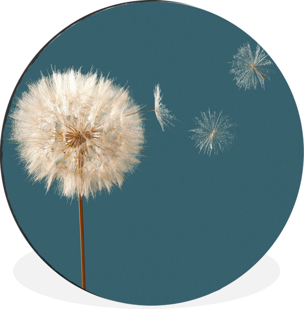MuchoWow Aluminium Wandkreis Löwenzahn - Saatgut - Farbe Ø 90 cm Wanddeko Modern Wohnzimmer - Mauerkreis - Wandbilder - Runde Bild - Bild aus A...