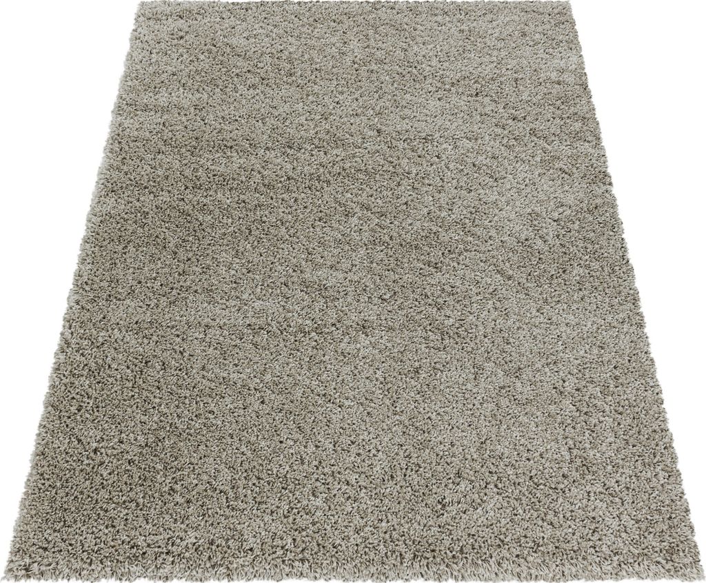 Teppich Wohnzimmer Hochflor Natur 240x340 Rechteck Unicolor Produktbild 