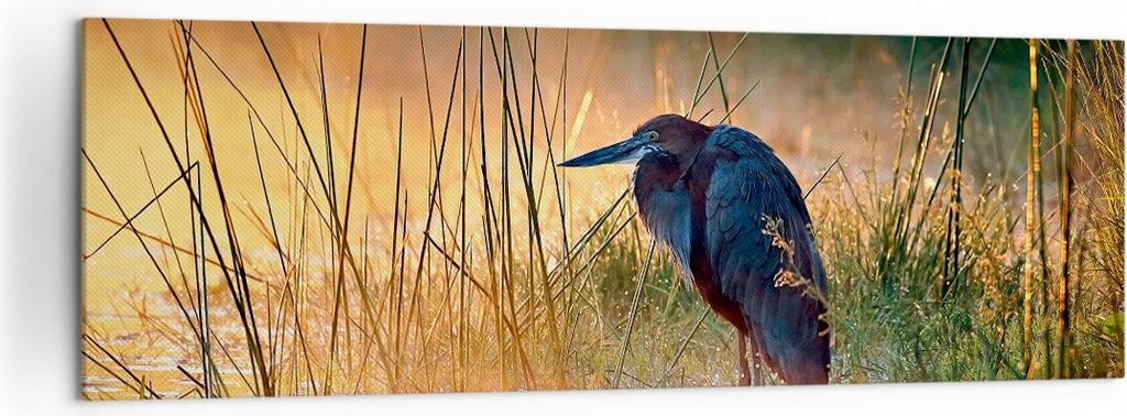 Bild auf Leinwand - Leinwandbild - Vogel Natur Wasser - 160x50cm - Wand Bild - Wanddeko - Leinwanddruck - Bilder - Kunstdruck - Wanddekoration - Le...
