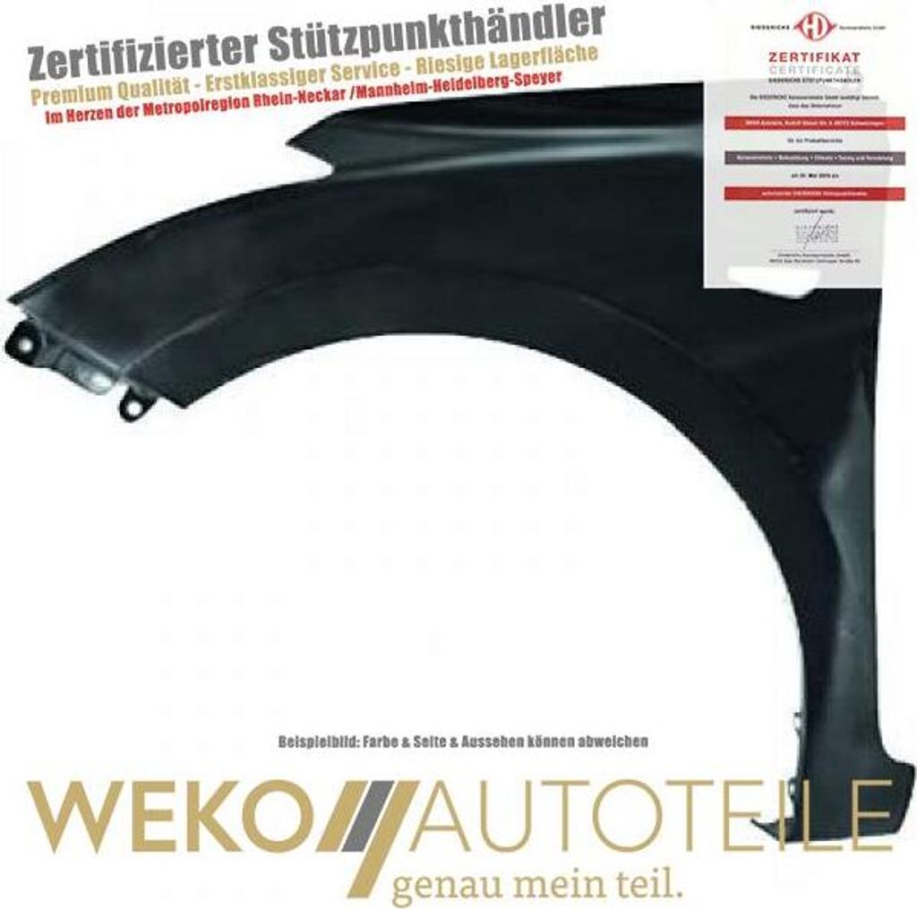 Kotflügel links DIEDERICHS 6807007 für HYUNDAI