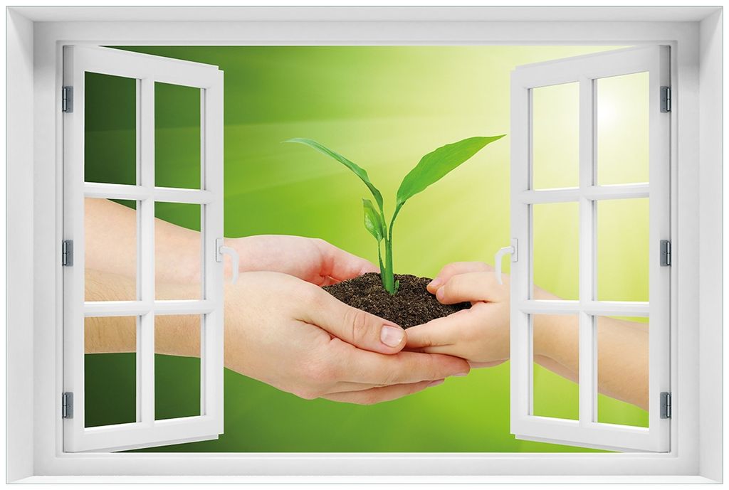 Wallario Premium Glasbild mit Fensterrahmen, freischwebende Optik, kräftige Farben, Größe 60 x 90 cm Motiv Eine zarte Pflanze - von Hand zu Hand