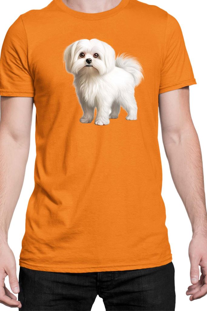 Herren T-Shirt Dogs Breeds Maltese Dog Breed 005, Man XL / Orange