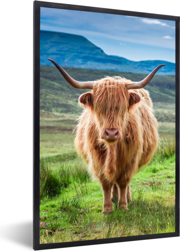 MuchoWow Gerahmtes Poster Schottischer Hochländer - Kuh - Natur - Berg - Gras 60x90 cm - Poster mit Schwarzem Bilderrahmen Wandposter Rahmen Fot...