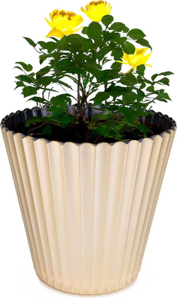Blumen-Topf champagner gold geriffelt als Outdoor Pflanzen-Topf 25 cm