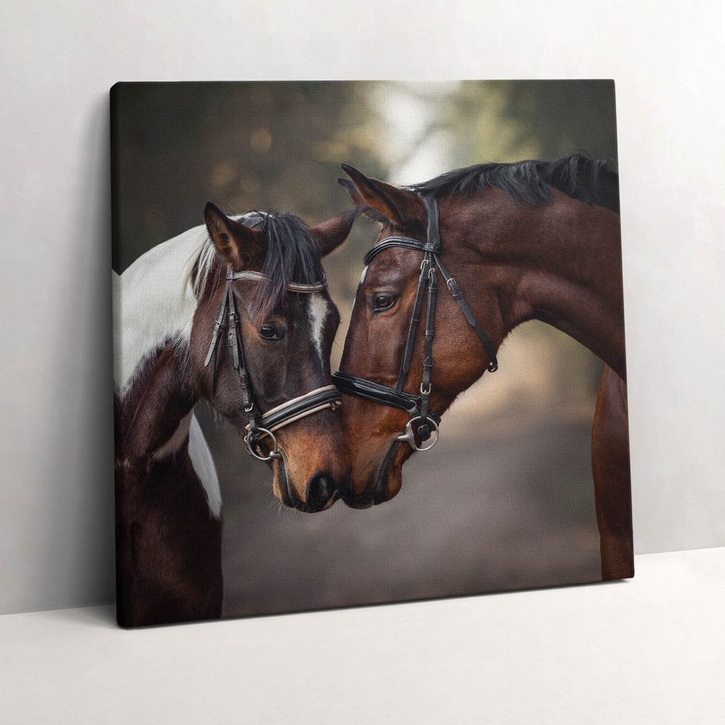 Portrait of horses in the forest – Leinwandbild Wandbild – 60x60 cm – Leinwandbilder – Wandbilder – Schlafzimmer – Flur