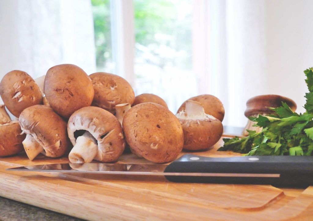 hansepuzzle 40314 - Pilze Puzzle, 260 Teile, Ernährung, 41,0 x 28,0cm mit hochwertiger Aufbewahrung, Kartonbox und wiederverschließbarem Beutel