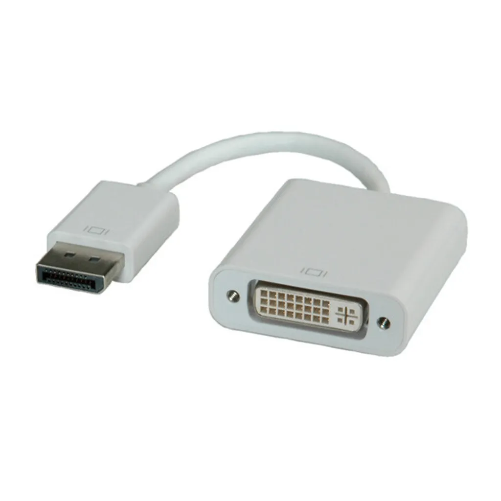 ROLINE Adaptateur DisplayPort vers DVI-D, Convertisseur DP Mâle DVI Femelle