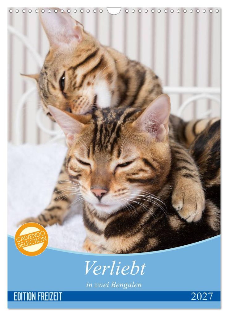Verliebt in zwei Bengalen (Wandkalender 2027 DIN A3 hoch), CALVENDO Monatskalender