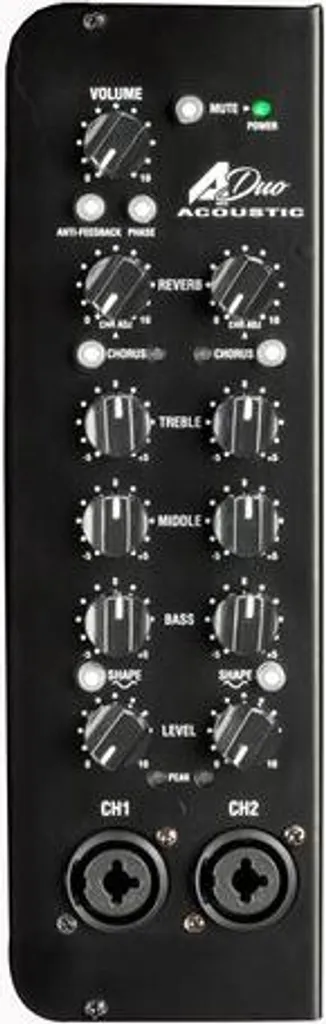 Laney A-Duo Ampli avec Effets Numériques et Double Entrée XLR Jack