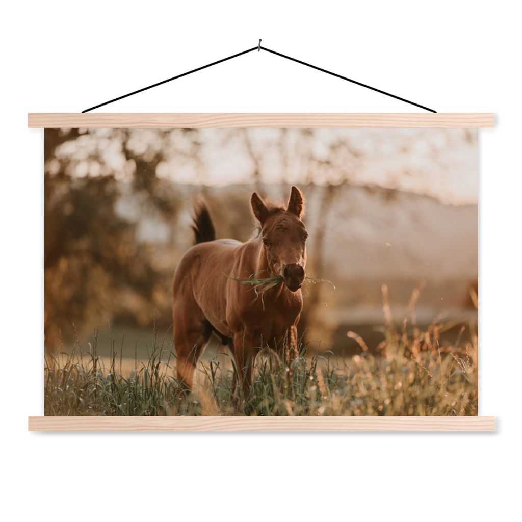 MuchoWow Textilposter Pferd - Sonne - Gras 60x40 cm mit holzfarbenen Rahmen - Bilder