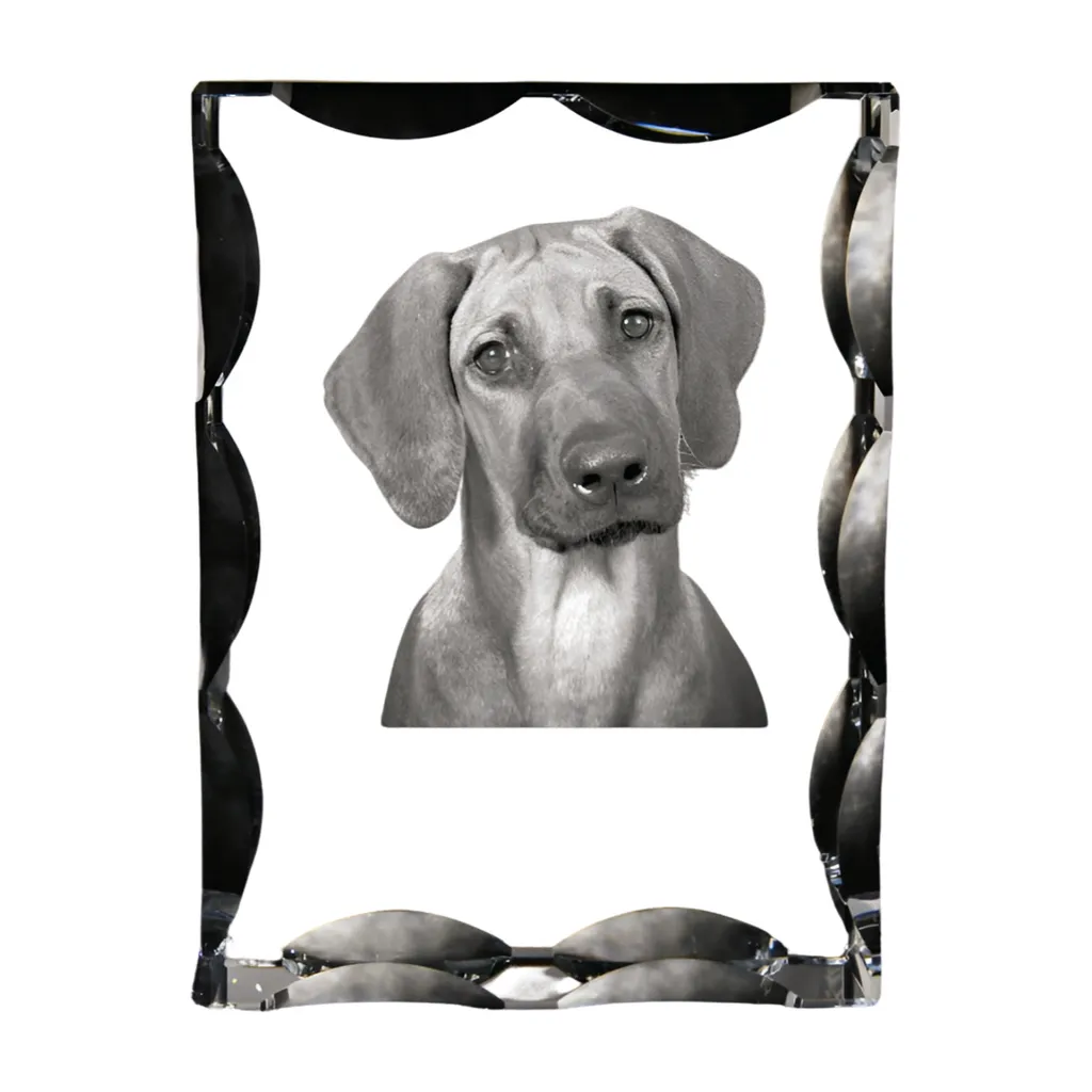 Cornice Cristallo Rhodesian Ridgeback - Statuetta Design Art-Dog 18x12