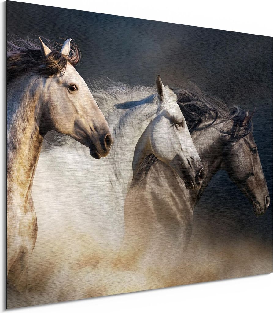 DEQORI Alu-Dibond Bild Silber 40x30 cm 'Pferde-Trio im Galopp' Wandbild Metall dünn