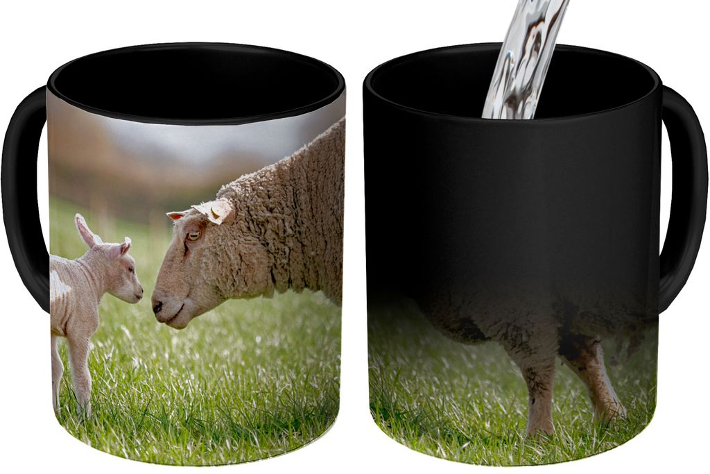 MuchoWow Zauber Tasse Zaubertasse Magic Schafe - Gras - Frühling 350 ml Farbwechsel Becher Geschenk Geschenkidee - Magic-Tasse - Fototasse - Ker...