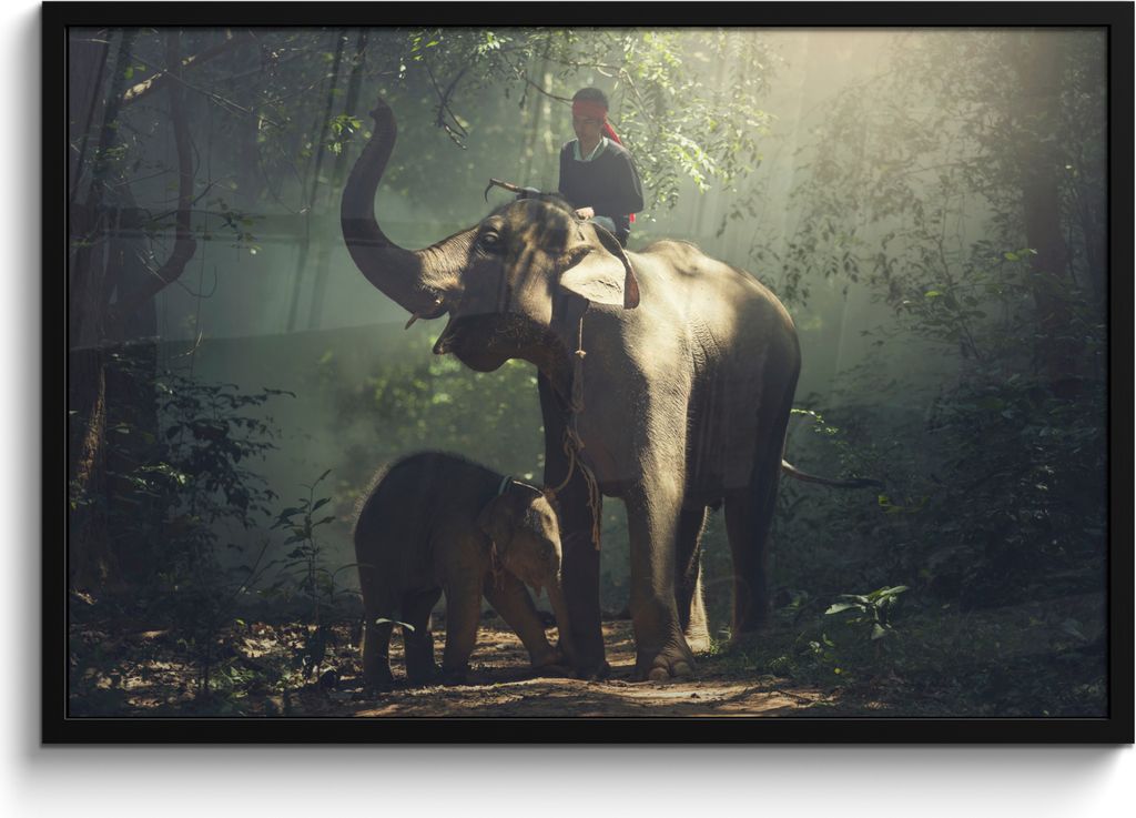 MuchoWow MuchoWow Gerahmtes Poster Elefant - Wald - Bäume - Tiere - Trainer 90x60 cm - Poster mit zchwarzem Bilderrahmen - Fotorahmen - Foto-P...