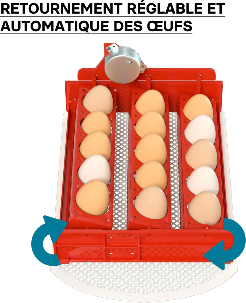 Wiltec 15: Incubatrice Automatica Digitale per Hobby e Allevamento - 13