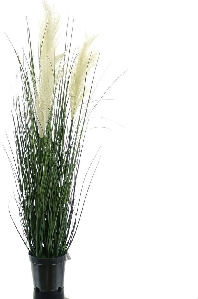 GASPER Pampasgras Weiß im schwarzen Topf 76 cm - Kunstpflanzen