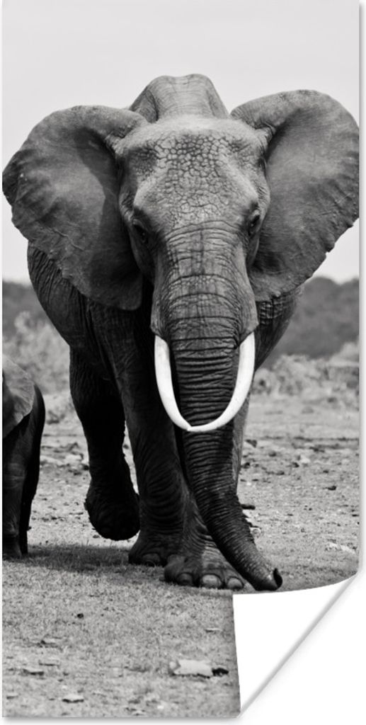 MuchoWow Poster Elefant - Kind - Schwarz - Weiß 75x150 cm - Dekoration für die Wände