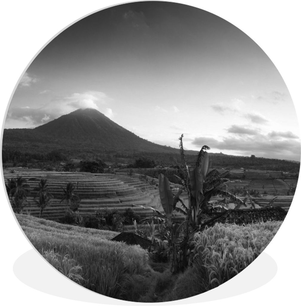MuchoWow Rundes Wandbild - Runde Bilder Indonesien - Reisfeld - Schwarz - Weiß Ø 60 cm Kreis Wanddekoration Kunststoff - Wandkreis - Wandschmuc...
