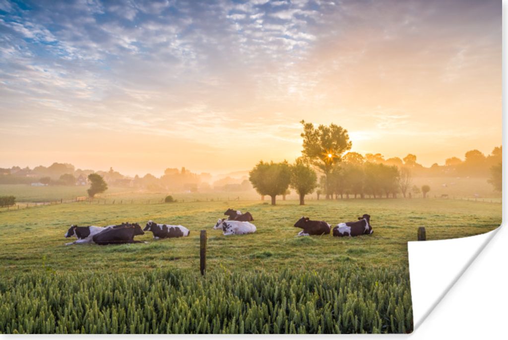 MuchoWow Poster Kuh - Sonne - Gras 180x120 cm - Fotoplakat