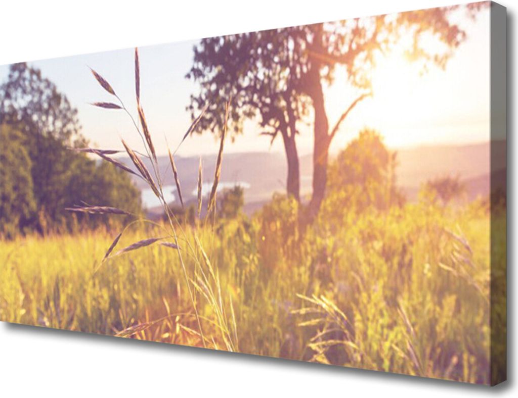 Tulup Leinwand-Bilder 100x50 Wandbild Canvas Kunstdruck Wiese Gras Baum Natur
