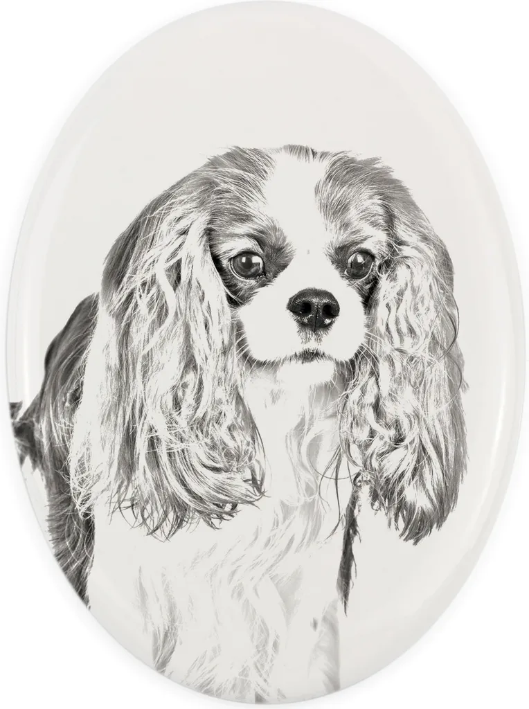 Targa Cane Cavalier King Charles Spaniel - Lapide Ovale Art-Dog