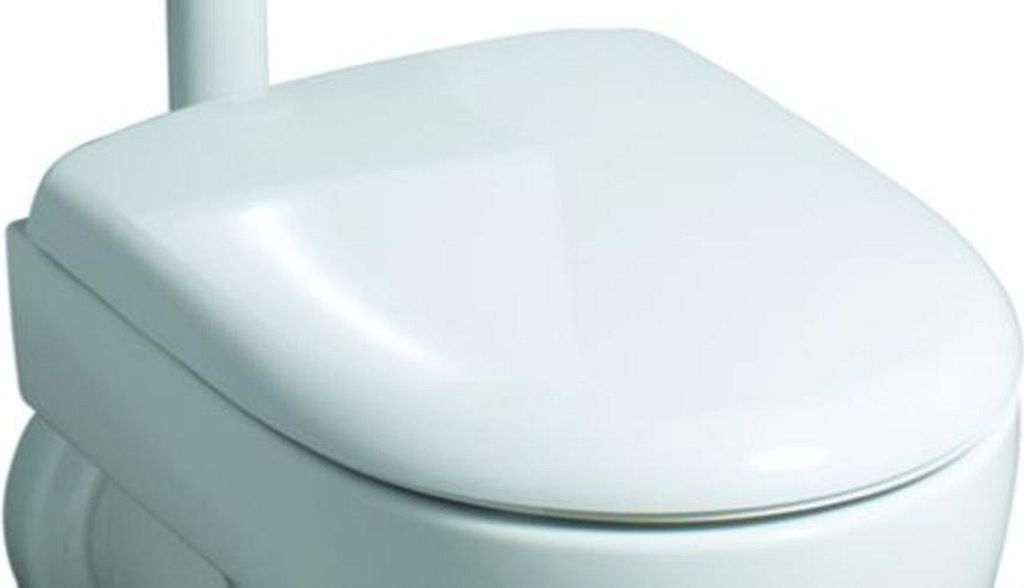 A close-up view of a white toilet seat.
