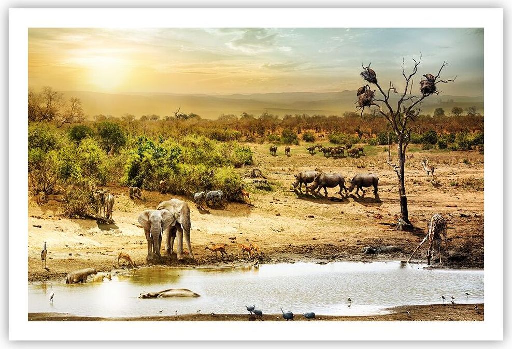 Poster - Poster ohne Rahmen - Safari Tiere - 91,5x61 cm - Wand Bild - Wanddeko - Wandbilder - Kunstposter - Wandposter - Bilder - Kunstdruck - Wand...