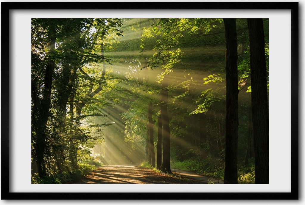 Bild 60x40 MDF-Rahmen, Wandkunst Wald in der Sonne Produktbild 
