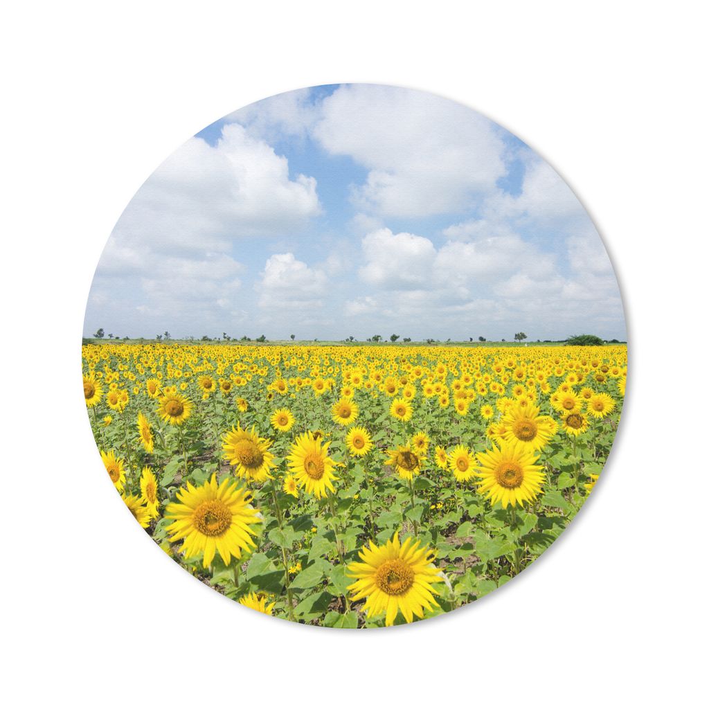 MuchoWow Mauspad Mousepad Sonnenblumen - Blumen - Wolken - Natur - Gelb - Landschaft 50x50 cm - Mousepads - Maus Mat - Pad - Mausunterlage - Vinyl