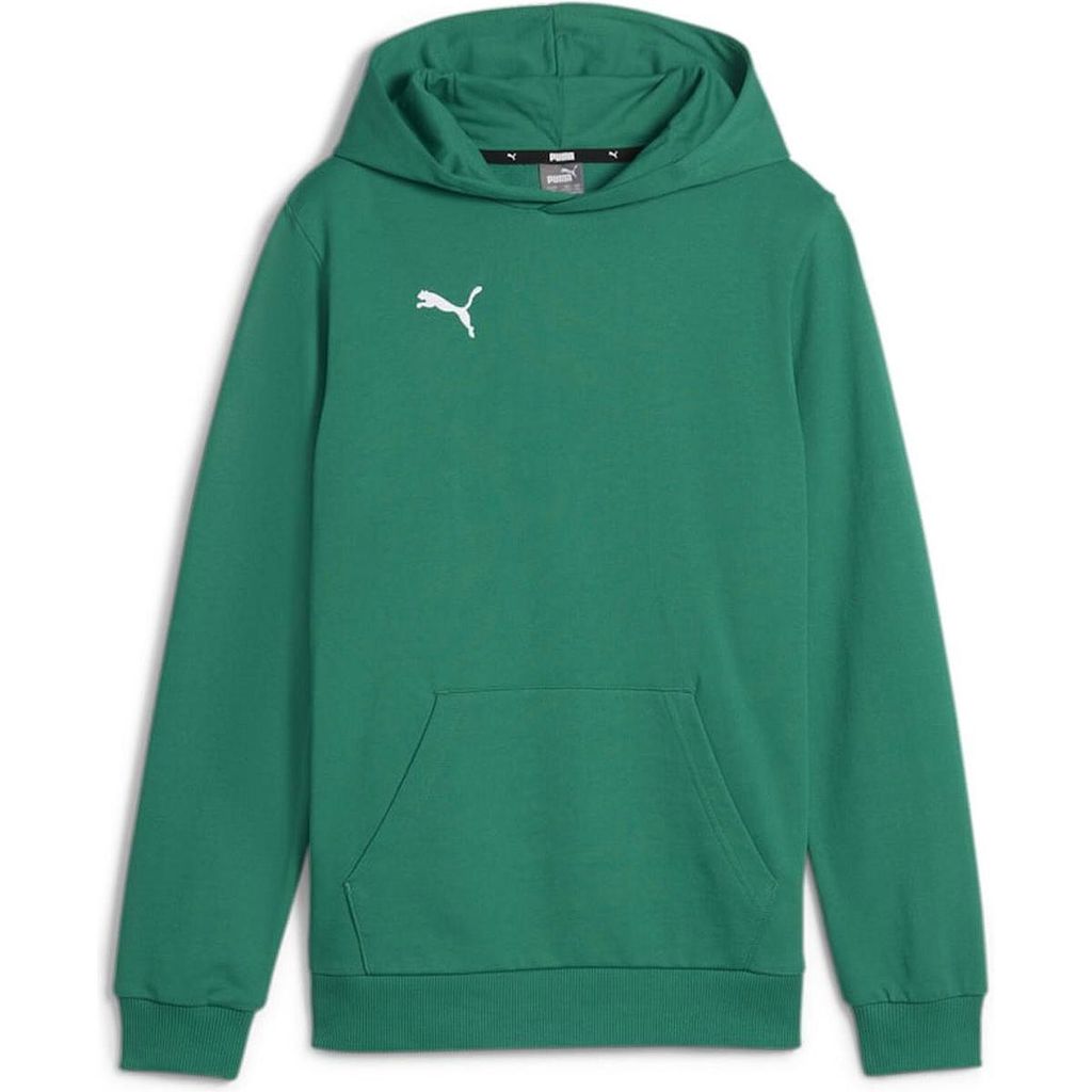 Puma Teamgoal Kapuzenpullover Herren - Grün Produktbild 