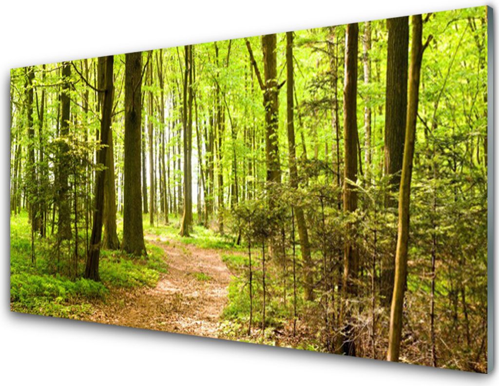 Küchenrückwand aus Glas 100x50cm Spritzschutz Wald Natur