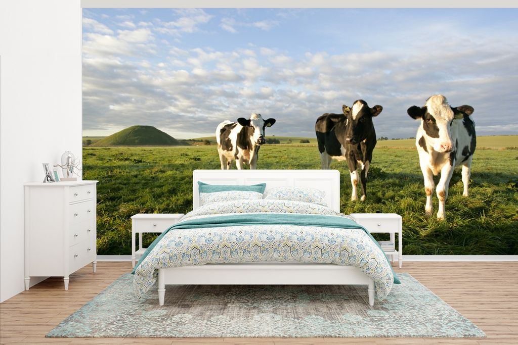 MuchoWow Fototapete für Wohnzimmer oder Schlafzimmer Wandtapete Vinyl Motivtapete Kuh - Sonne - Tiere - 430x240 cm - Gemustert
