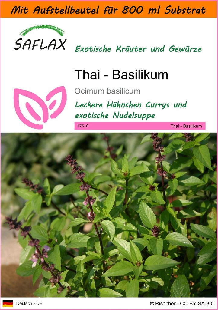 SAFLAX - Garden in the Bag - Kräuter - Thai - Basilikum - 200 Samen - Mit Anzuchtsubstrat im praktischen, selbst aufstellenden Beutel - Ocimum bas...