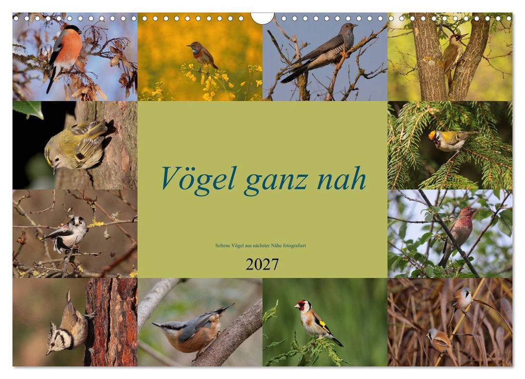 Vögel ganz nah (Wandkalender 2027 DIN A3 quer), CALVENDO Monatskalender