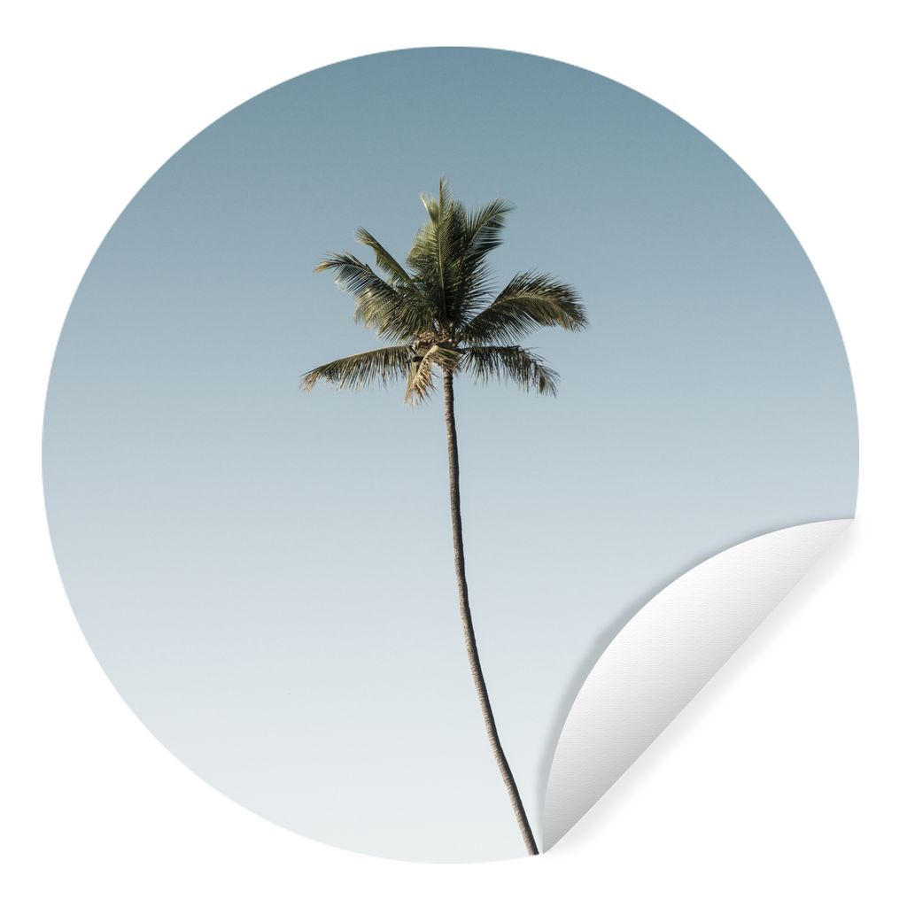 MuchoWow Runde Wandtattoo - Wandsticker Tapete Aufkleber Einsame Palme vor blauem Himmel Ø 30 cm Selbstklebend und Repositionierbar - Wandaufkle...